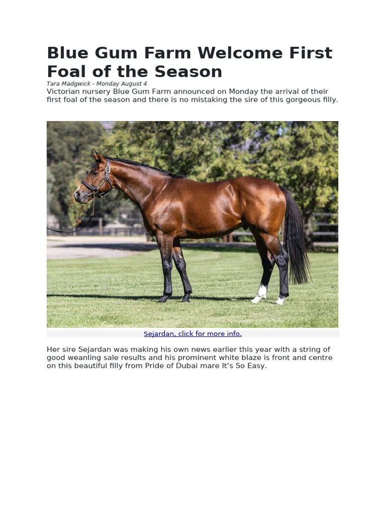 Blue Gum Farm Welcome First Foal of the Season | PDF
