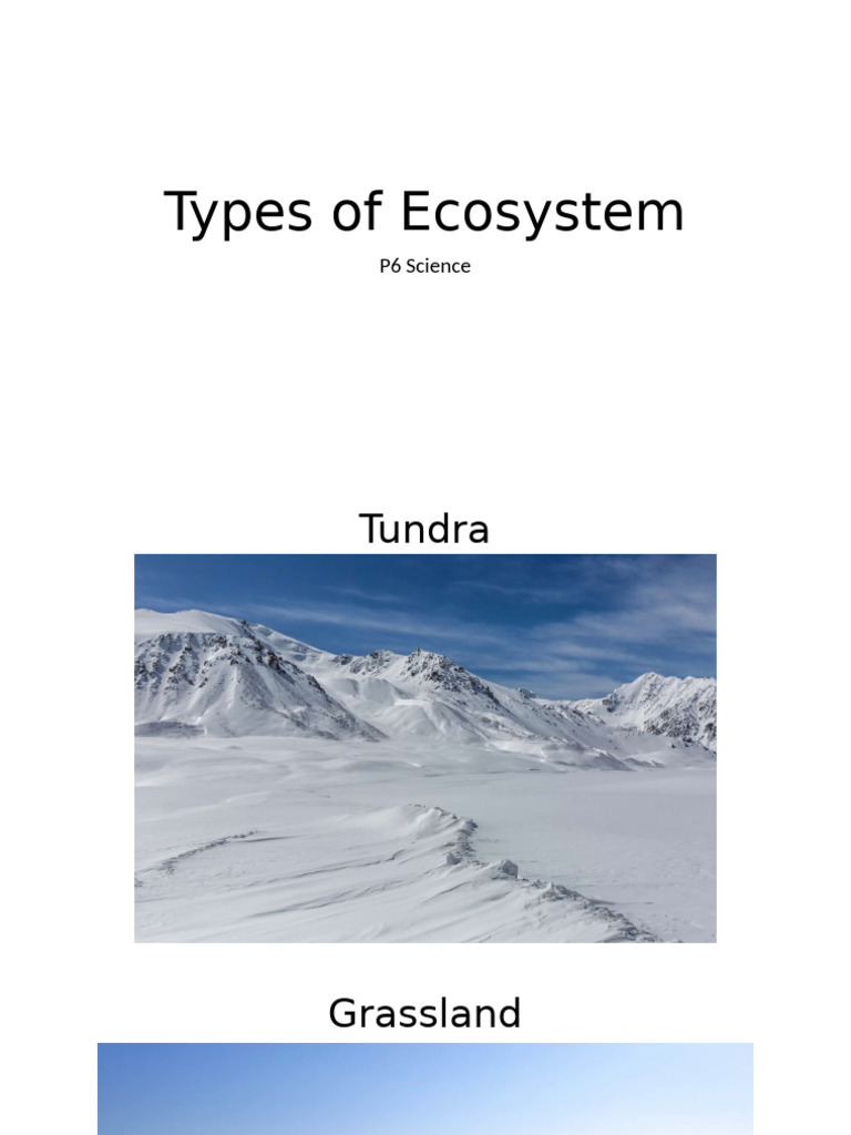 Types of Ecosystem | PDF
