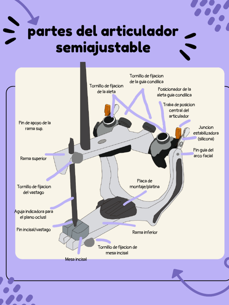 Partes del articulador semiajustable | PDF