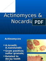 Actinomyces and Nocrdia