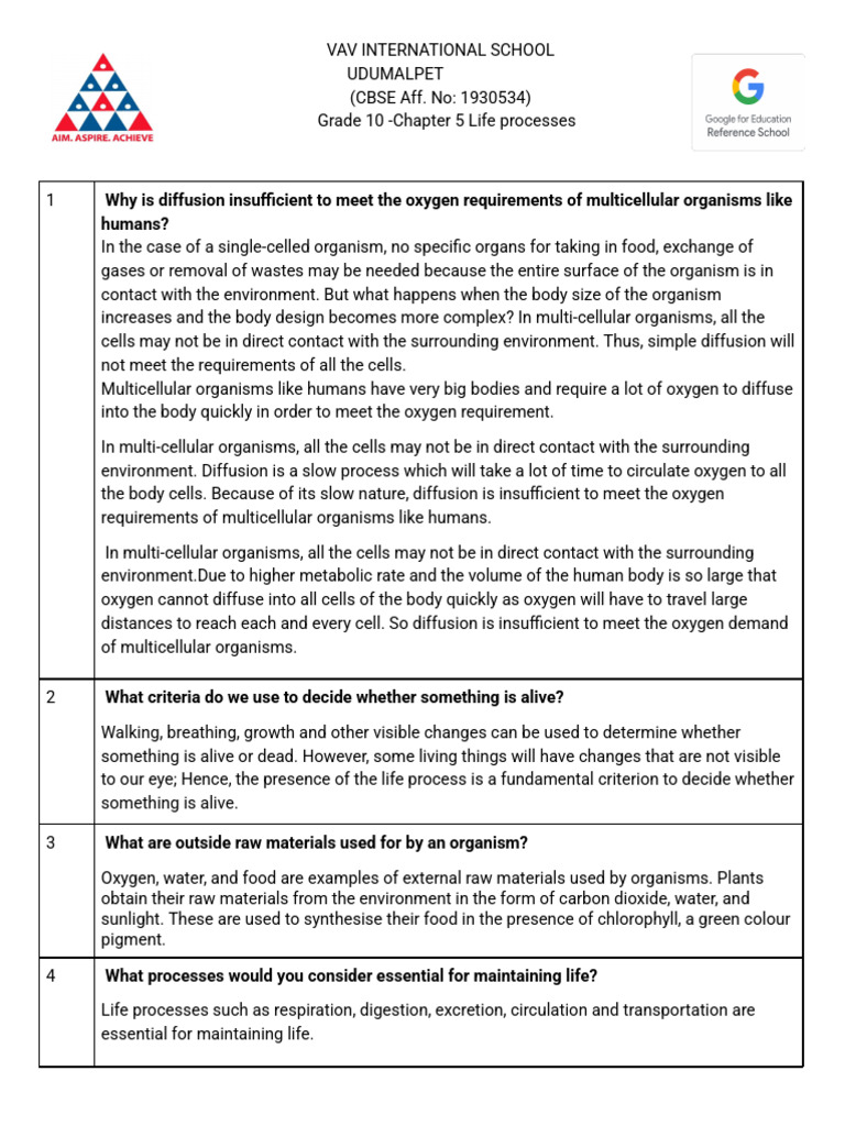 G10 Bio CH5 WS (Autotrophic Nutrition) 2526 | PDF | Stoma | Nutrition