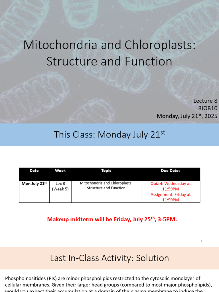 Mitochondria and Chloroplasts Overview | PDF | Protein Targeting ...