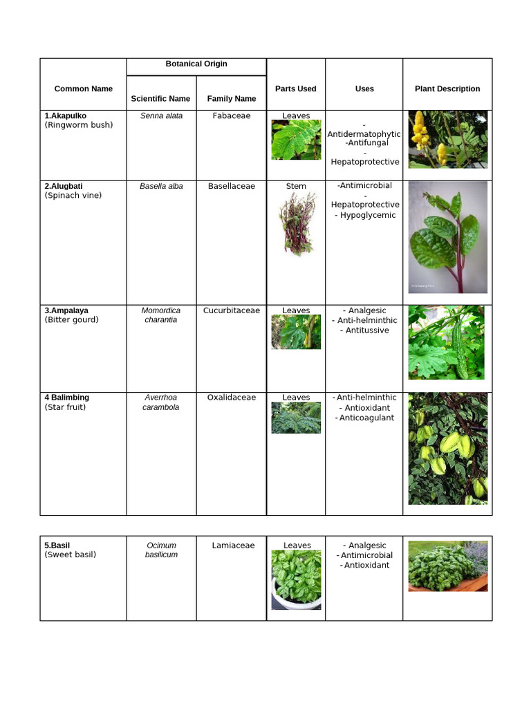 Medicinal Plants of the Philippines | PDF | Botany | Plants