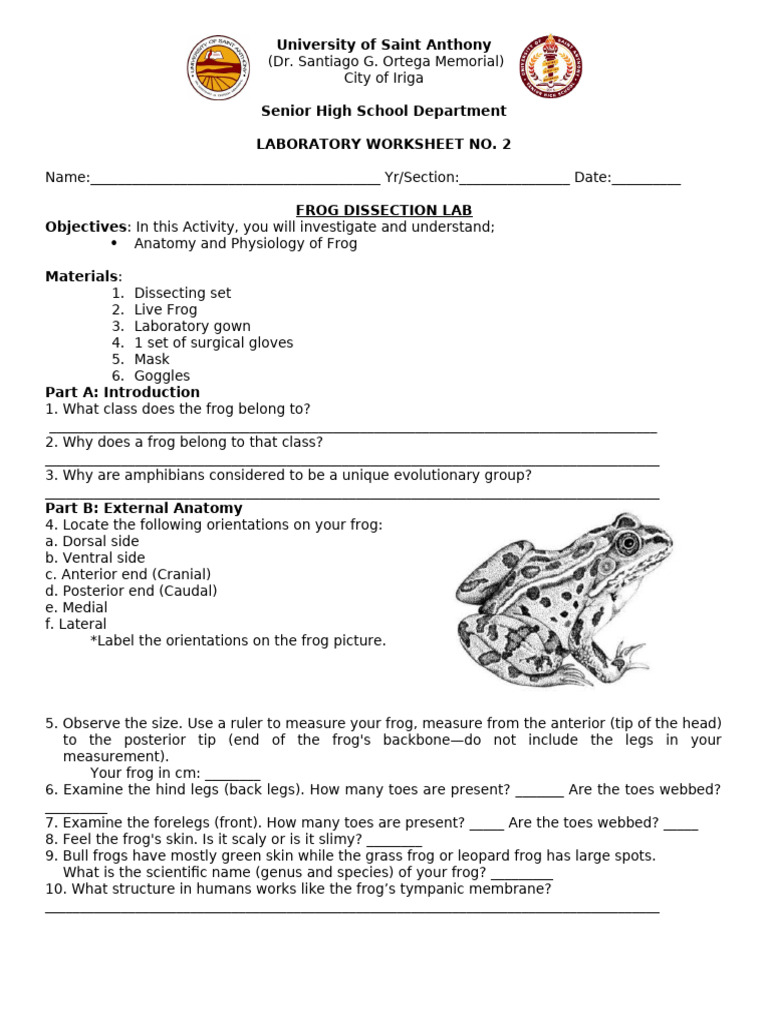 Frog Dissection | PDF
