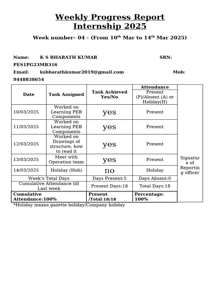 Internship Week 4 Progress Report 2025 | PDF