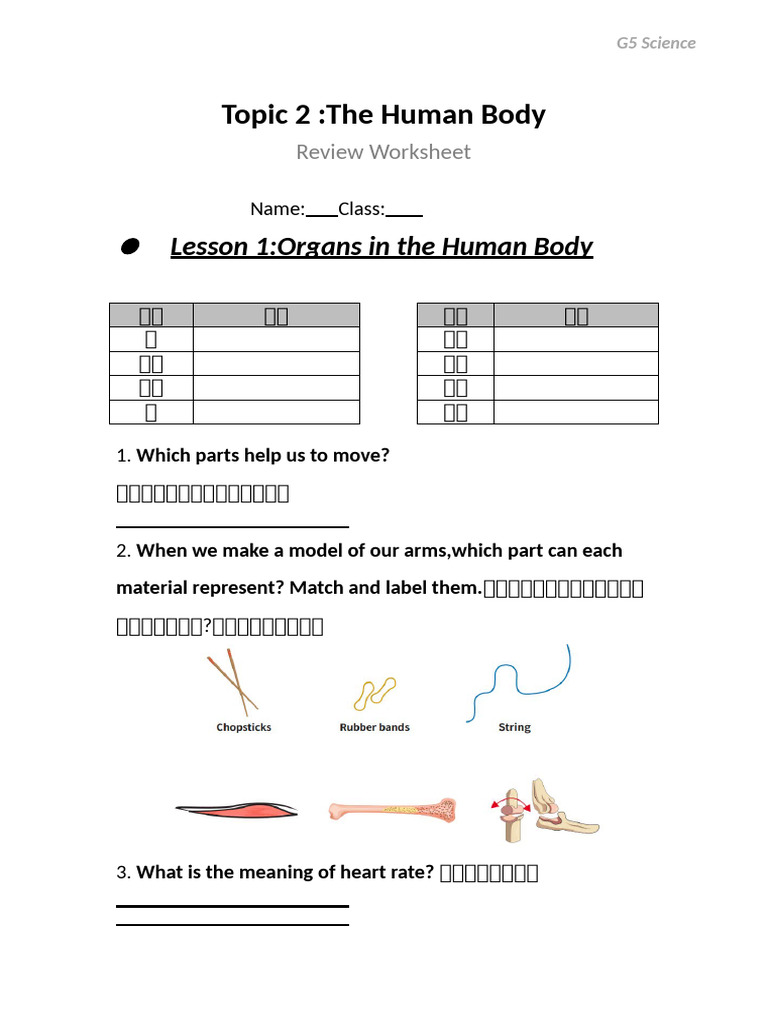 G5 Science Topic 2 Review Material | PDF