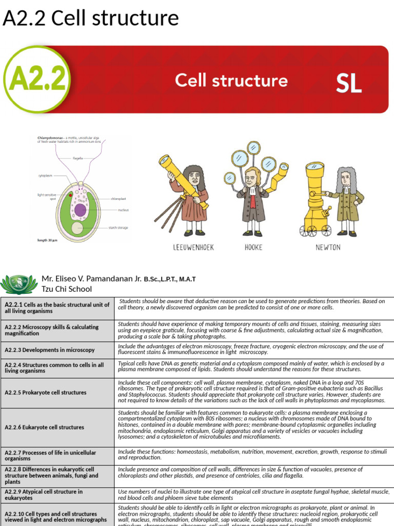 A 2.2 Cell Structure SL - HL | PDF | Endoplasmic Reticulum | Cell (Biology)