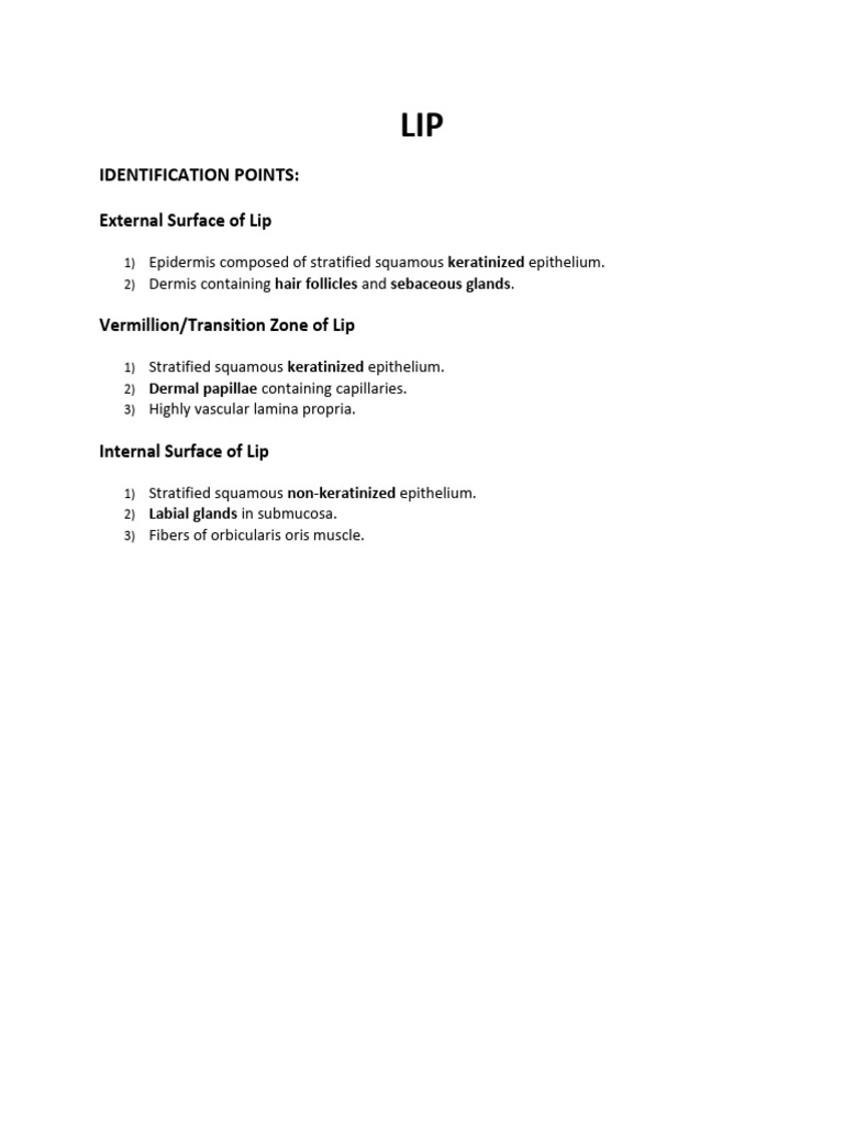 Lip Anatomy and Identification Points | PDF