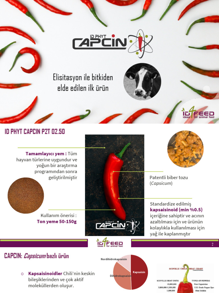 2021.05.11 - Capcin Dairy TR | PDF