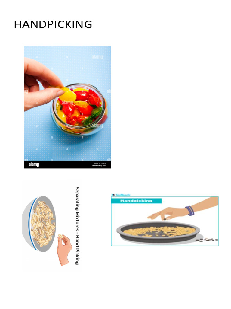 Handpicking | PDF