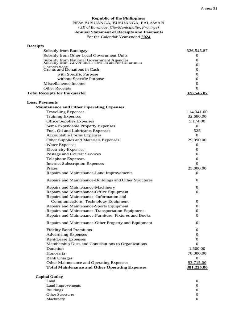 Annual Financial Report for Busuanga SK | PDF | Expense | Economies