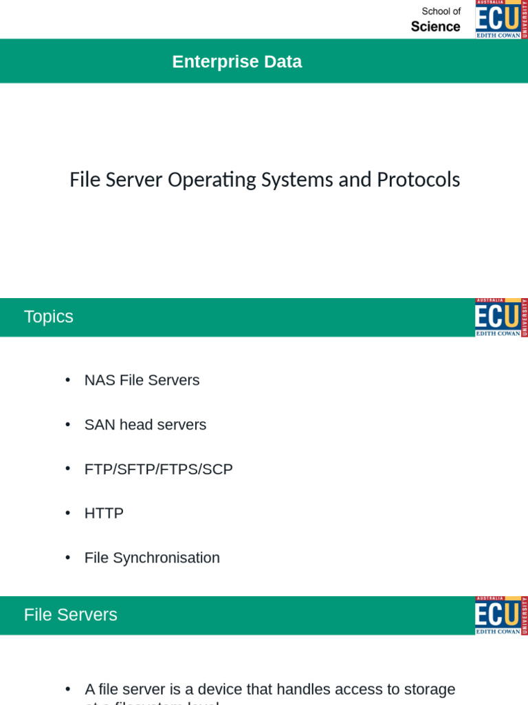 Overview of Network File Servers | PDF | File Transfer Protocol ...