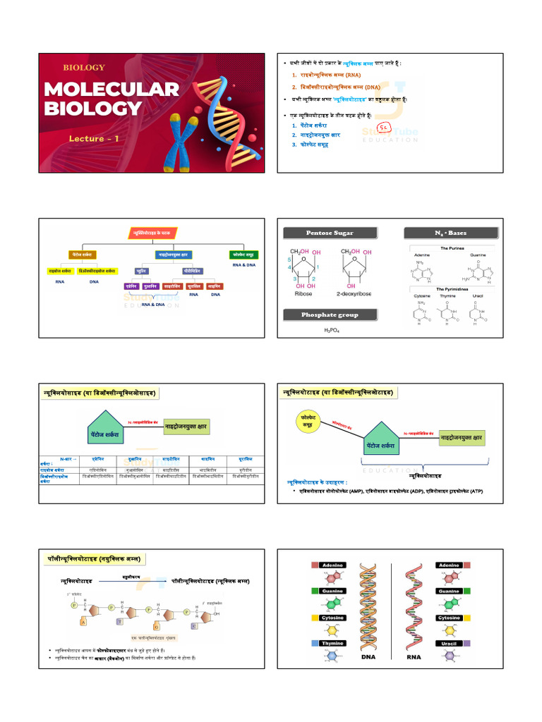 Molecular Biology | PDF