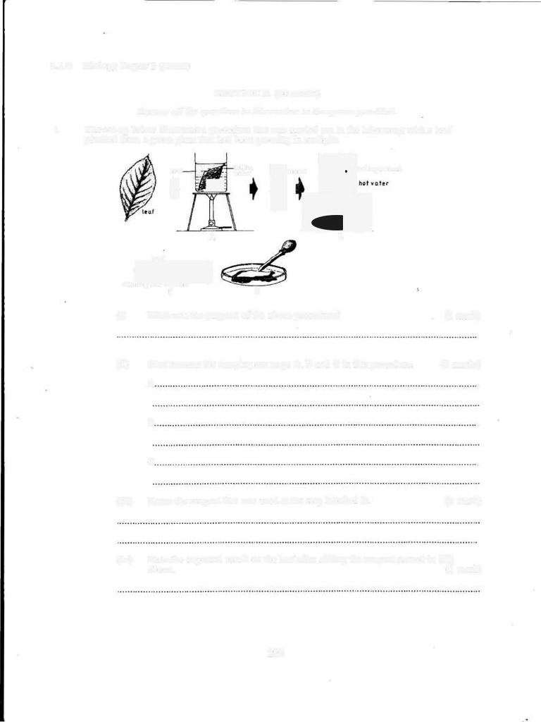 Biology Paper 2 Exam Questions | PDF | Pituitary Gland | Flowers