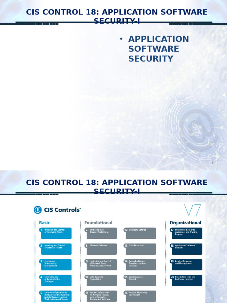 Application Software Security Guidelines | PDF