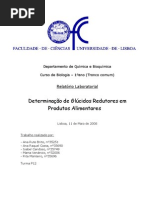 Relatório-Glúcidos