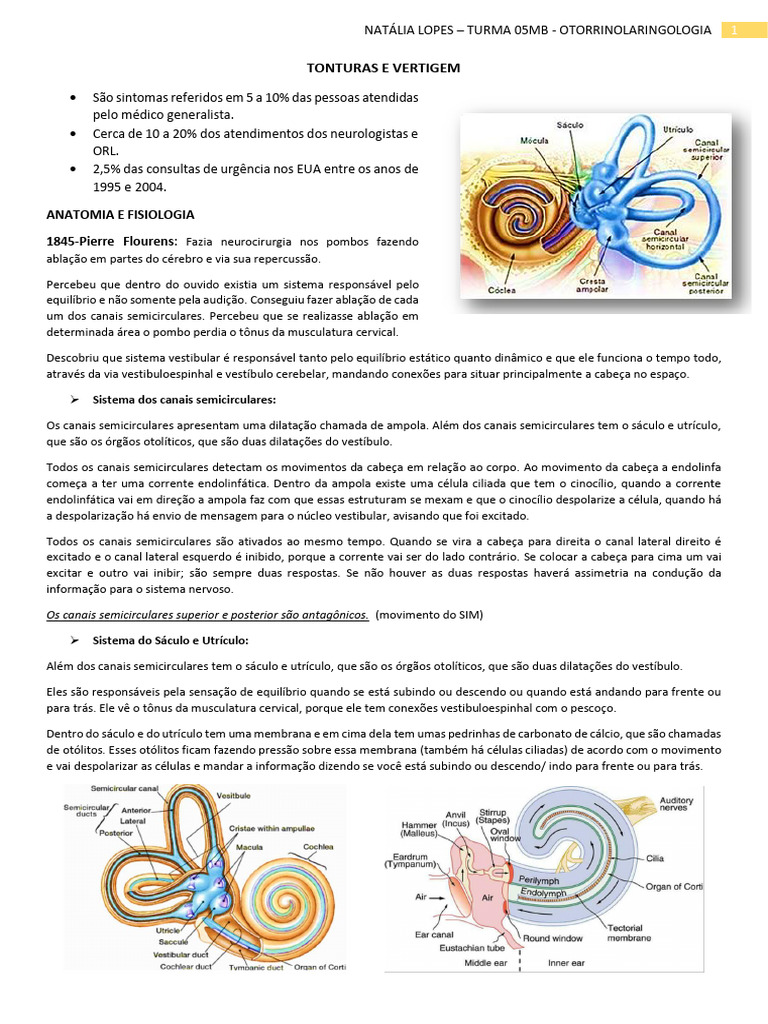 Tontura e Vertigem - Resumo Natalia Lopes | PDF | Sistema vestibular ...