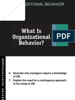 Organizational Behavior Report