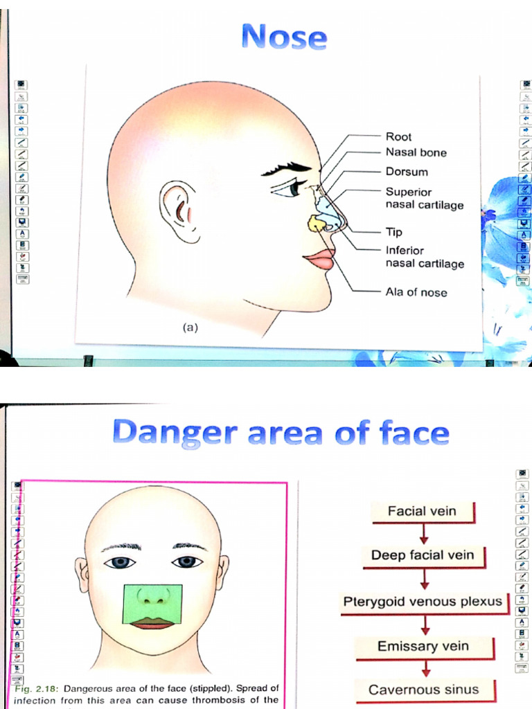 CamScanner Nose Note | PDF