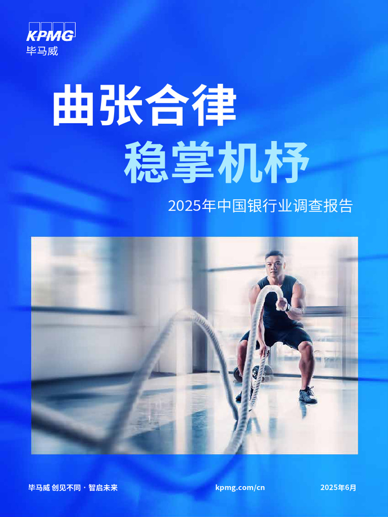 2025年中国银行业调研报告| PDF