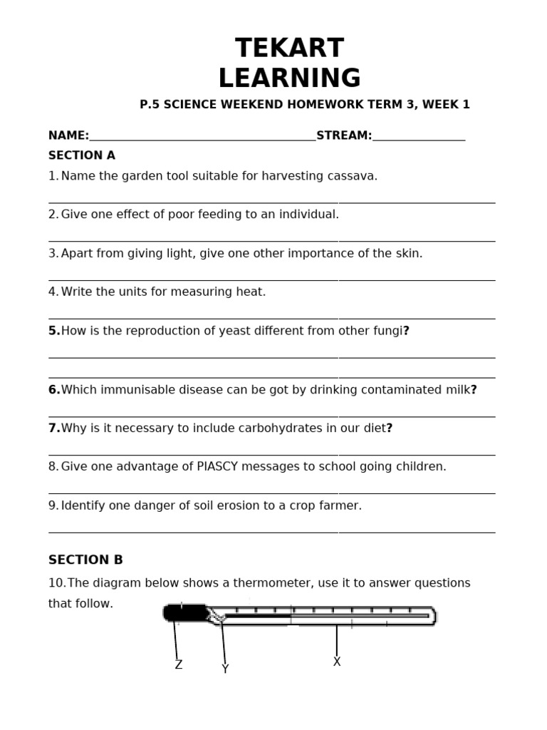 Term 3 Science Weekend Homework | PDF