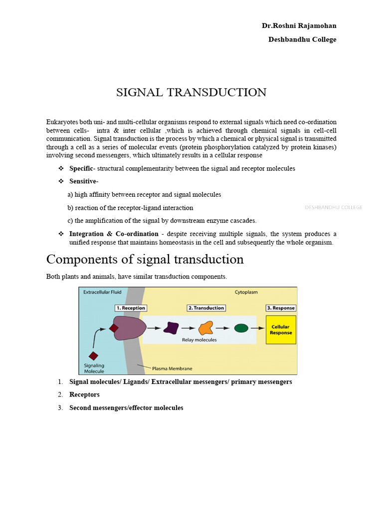 Overview of Signal Transduction | PDF | Cell Signaling | Signal ...
