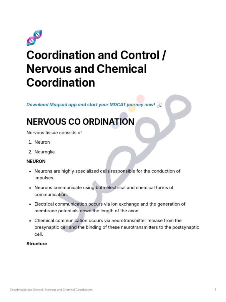 Coordination and Control | PDF | Action Potential | Chemical Synapse