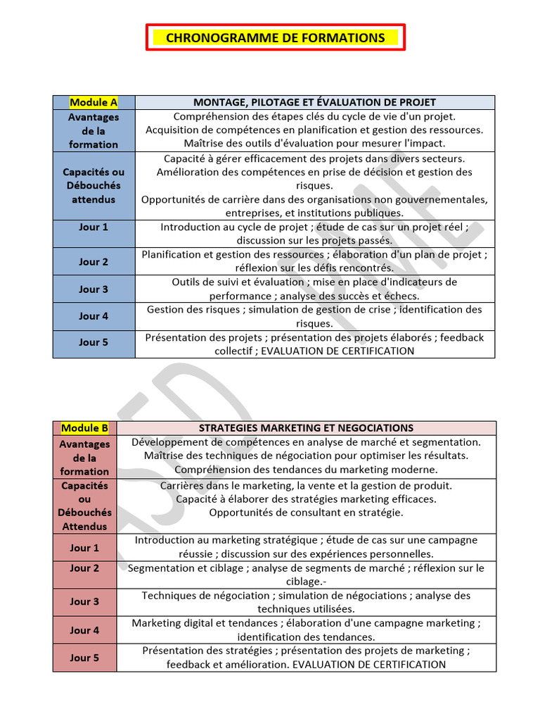 Formation en Marketing et Management | PDF | Commercialisation | Consultant