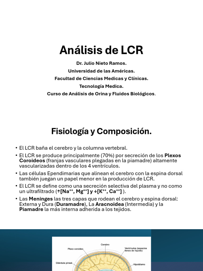Análisis y Funciones del LCR en Medicina | PDF | Fluido cerebroespinal ...