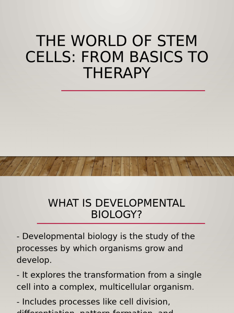 Understanding Stem Cells and Therapies | PDF | Stem Cell | Embryonic ...