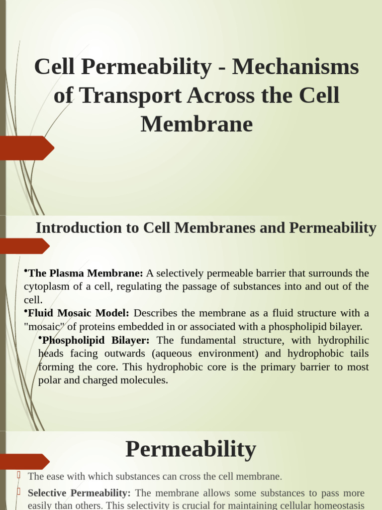 Cell Membrane Transport Mechanisms | PDF | Cell Membrane | Lipid Bilayer