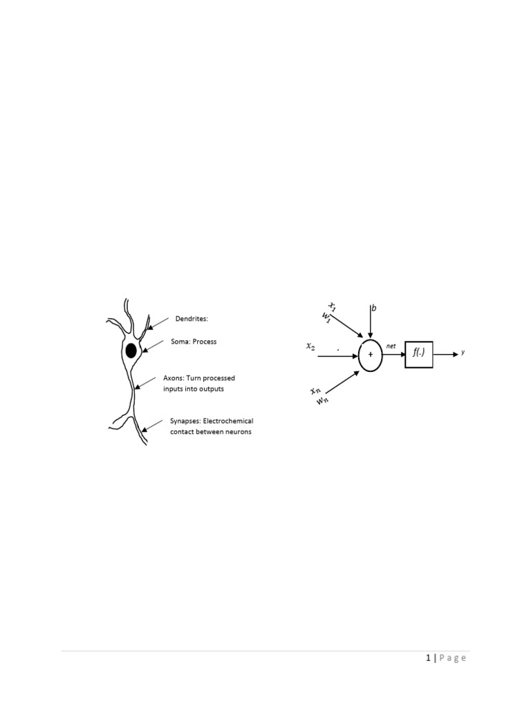 Overview of Artificial Neural Networks | PDF | Nervous System | Neuron