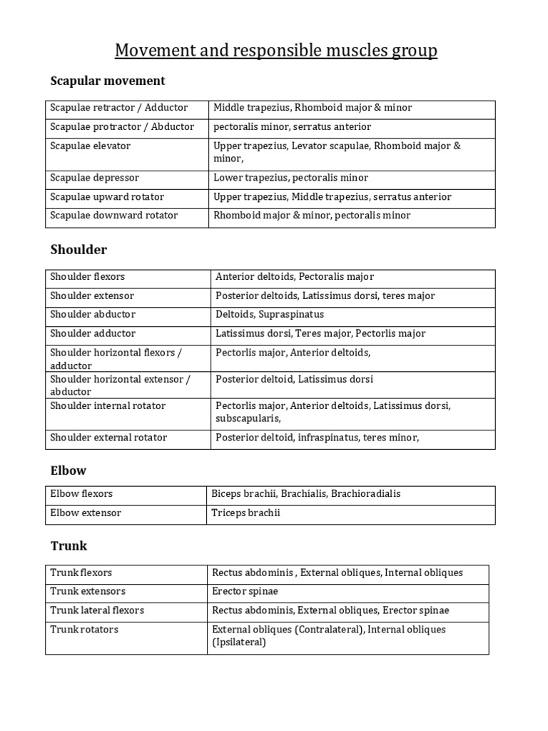 Muscle Groups for Joint Movements | PDF