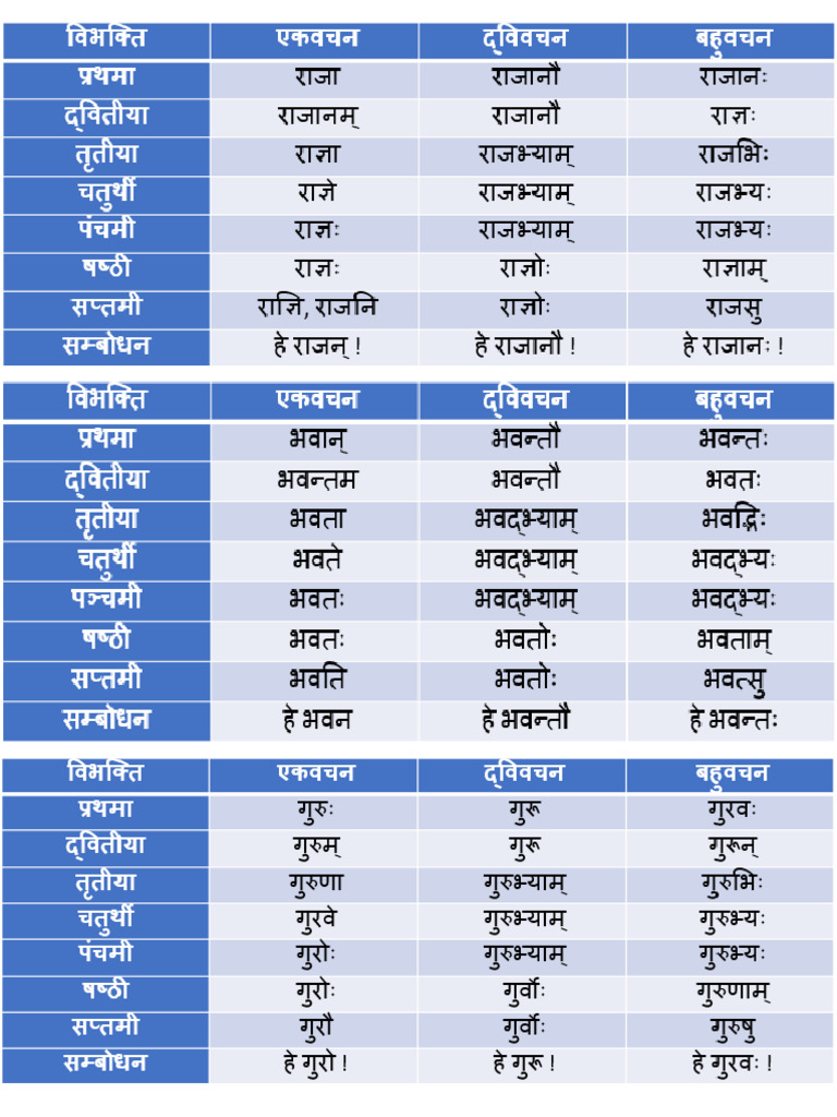 Shabd Roop Important | PDF