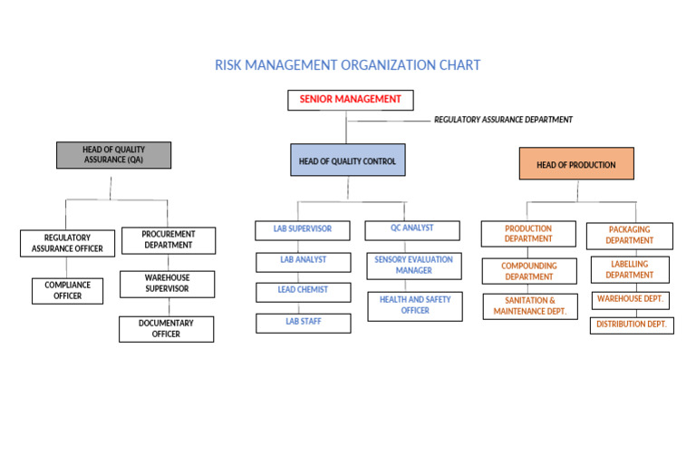 Risk Management Org Chart Overview | PDF
