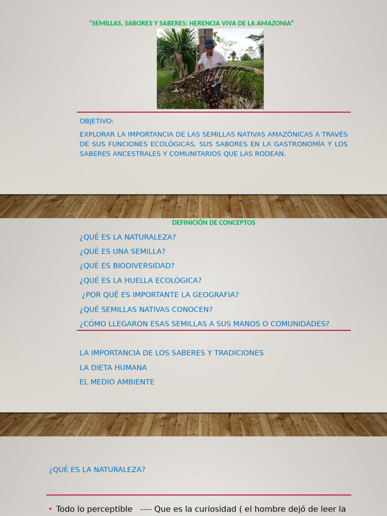 Semillas Nativas de la Amazonía: Sabores y Saberes | PDF ...