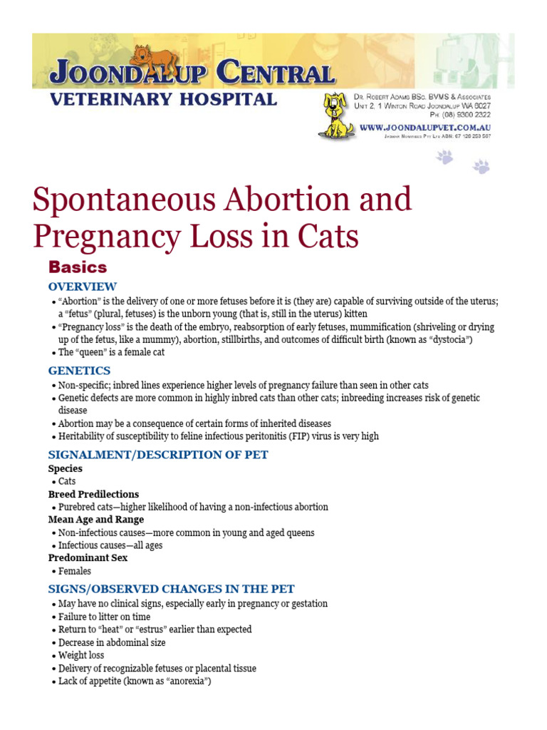 Curated visual reference: Gallery Detail: Cat Pregnancy Loss And Abortion Overview Pdf Miscarriage