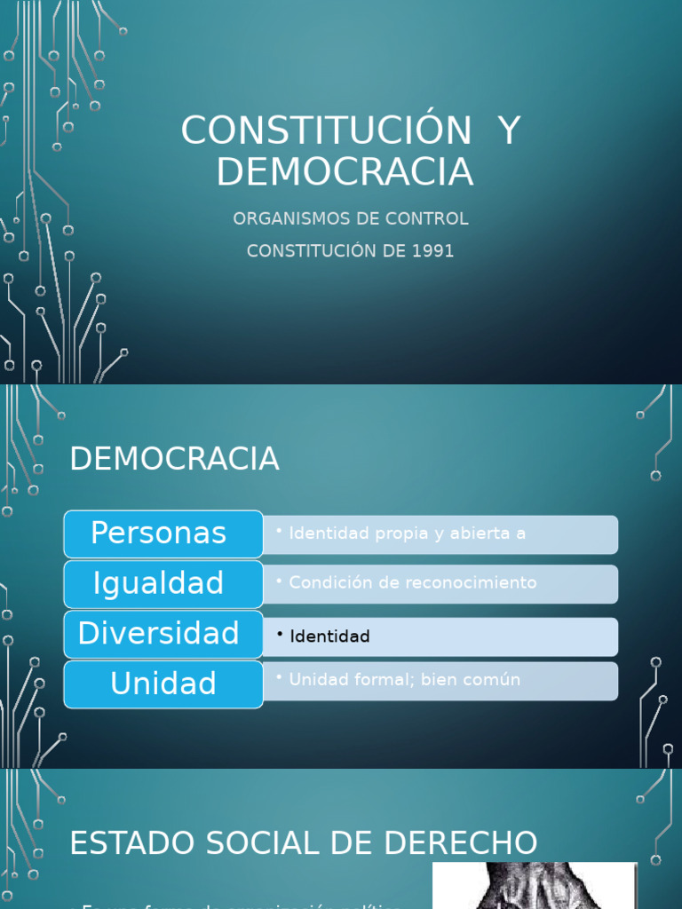 Unidad 4 Constitución y Democracia | PDF | Gobierno | Justicia