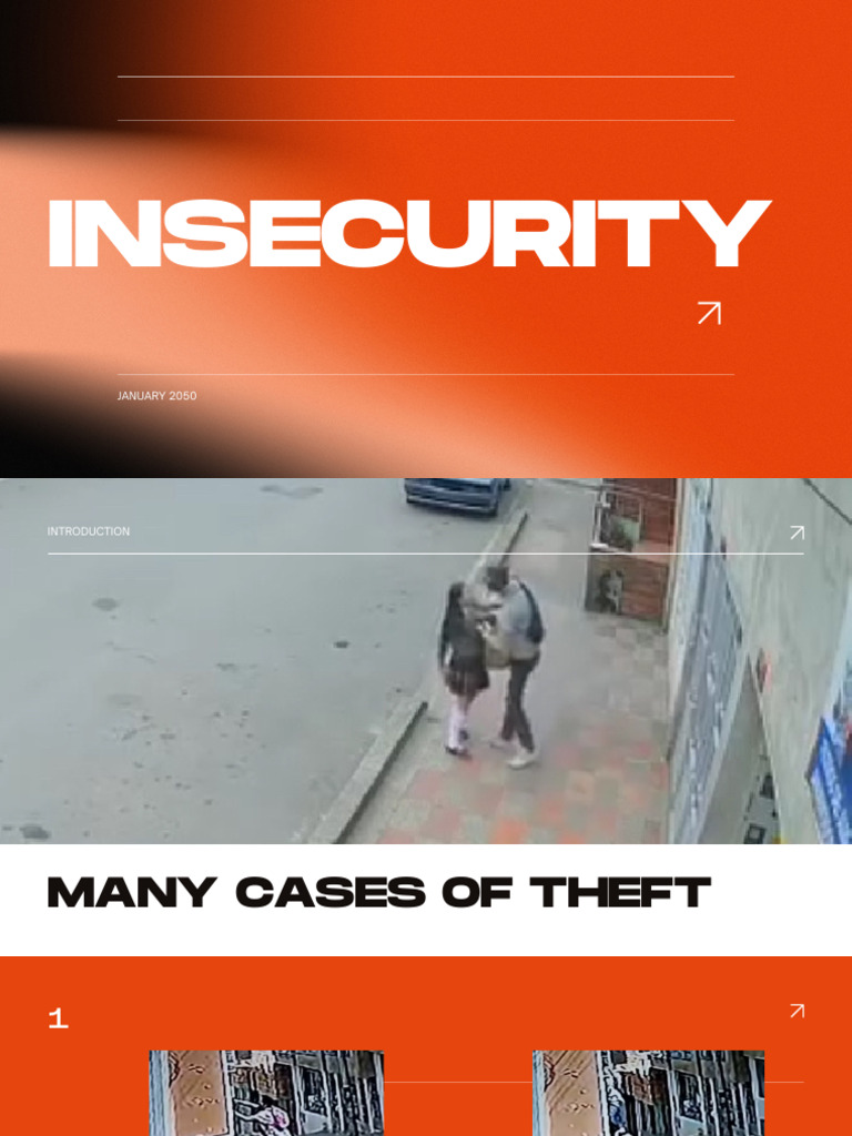 Insecurity PDF | PDF