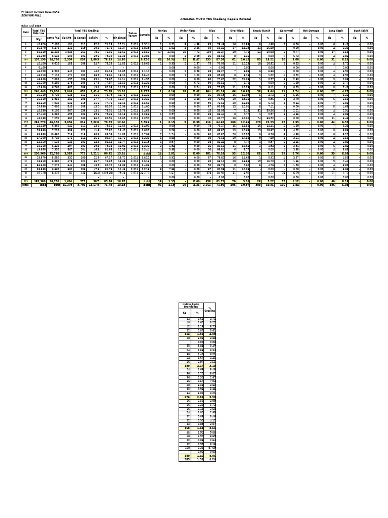 TBS Quality Analysis July 2025 | PDF