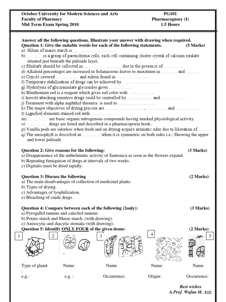Mid Term Exam 2010 Spring Template | PDF | Leaf | Starch