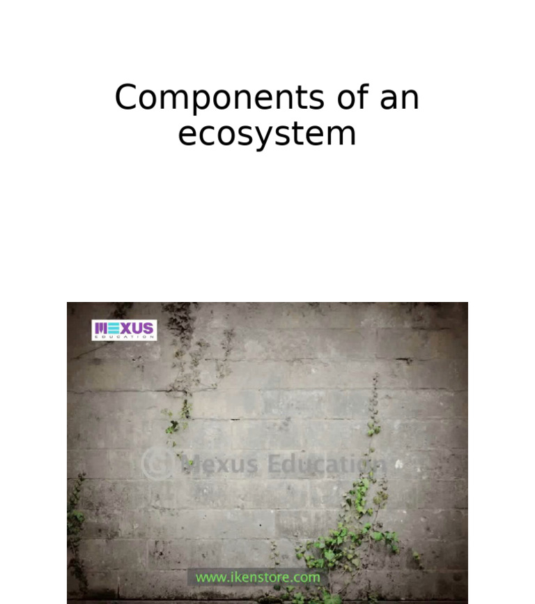 Components of An Ecosystem | PDF