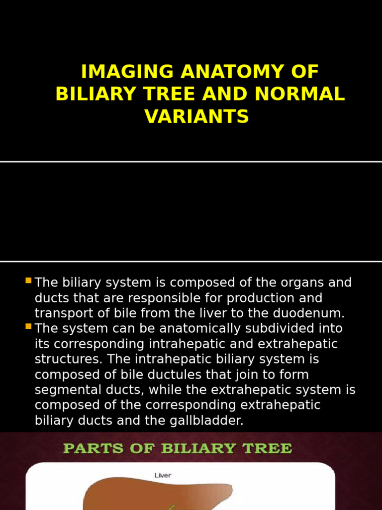 Biliary Tree Anatomy and Variants | PDF | Bile | Gallbladder