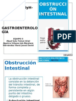 Obstrucción Intestinal