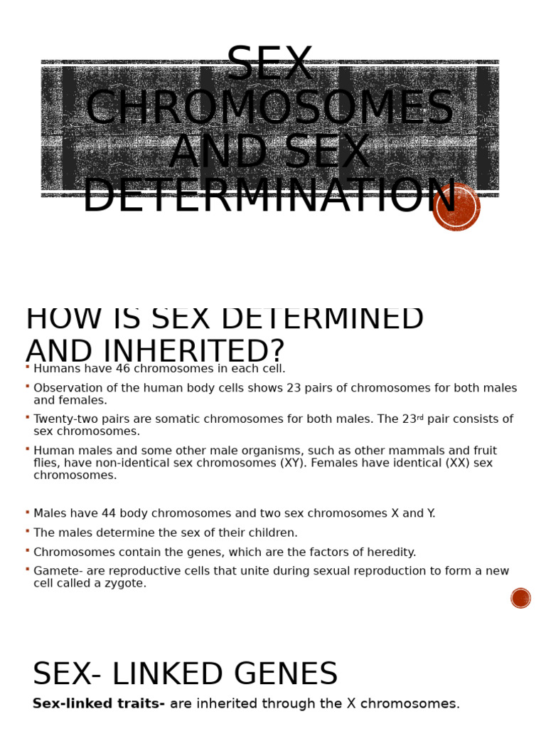 Mod.4.2sex Chromosomes and Sex Determination | PDF