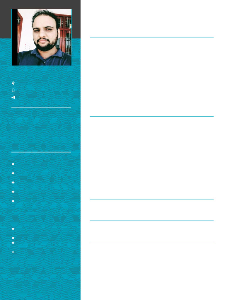 Salesforce Developer Resume - Ankit Kumar | PDF | Computing | Cognition