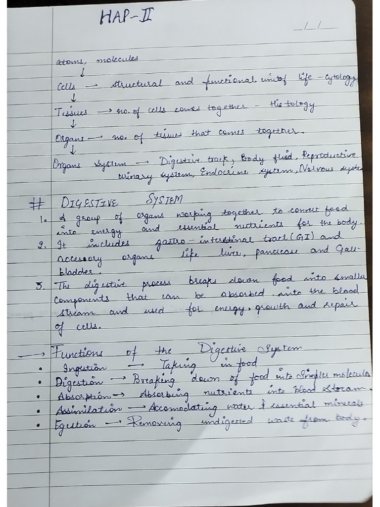 Humanor not? visual data 4