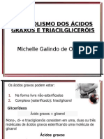 Aula 18.10.08 Metabolismo Dos AG e Triacilgliceróis Sem Figuras