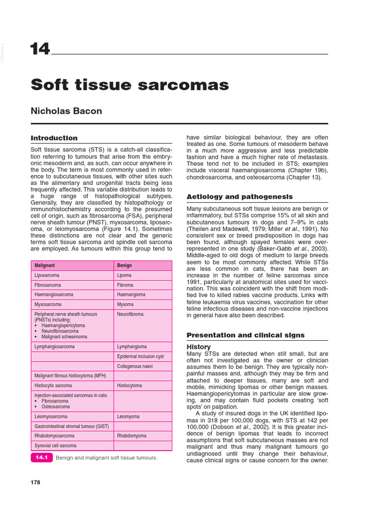 Understanding Soft Tissue Sarcomas | PDF | Biopsy | Medical Imaging