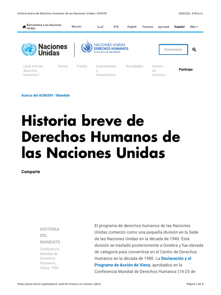 Historia de Derechos Humanos en la ONU | PDF | Naciones Unidas ...